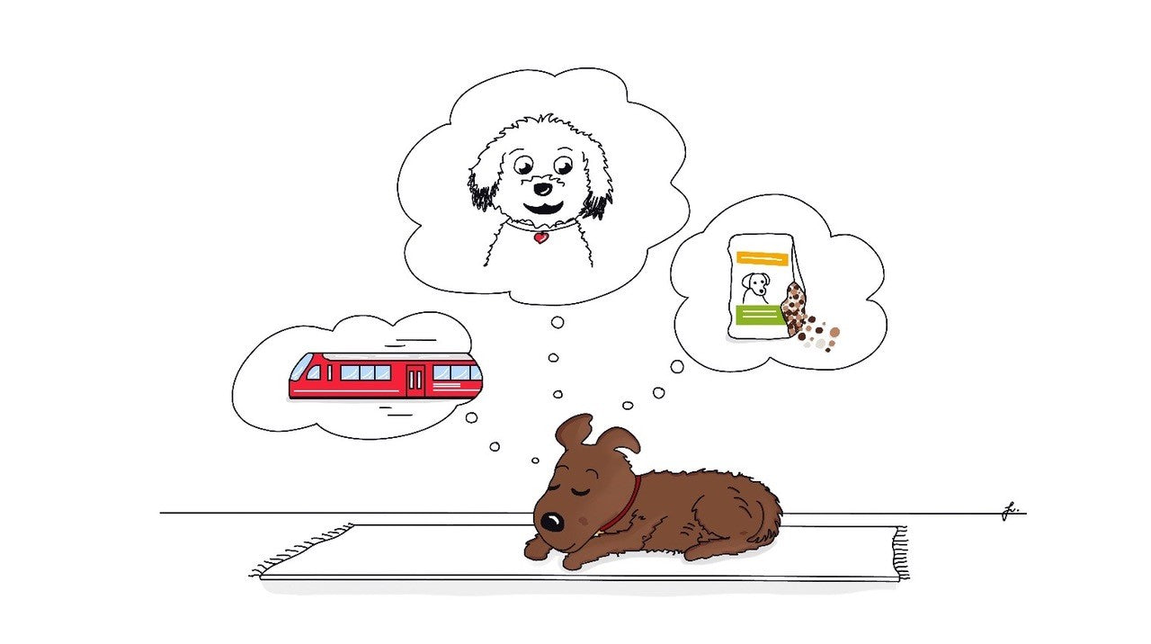 Teil 15 - Fippo - Was ist denn hier los?