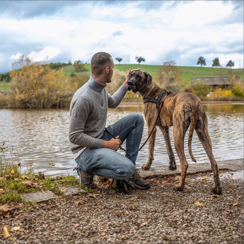 Mann mit Hund am See