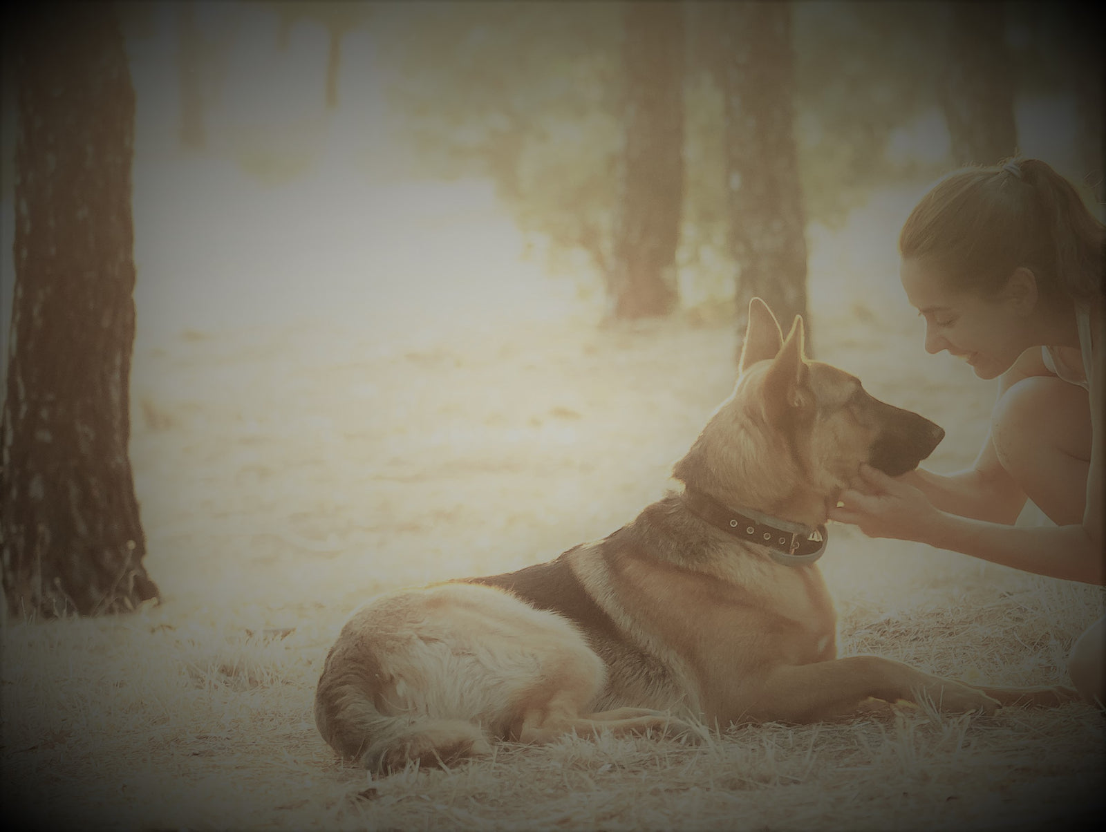 Eine Herzverbindung zum Tier - für ein gesundes Hundeleben