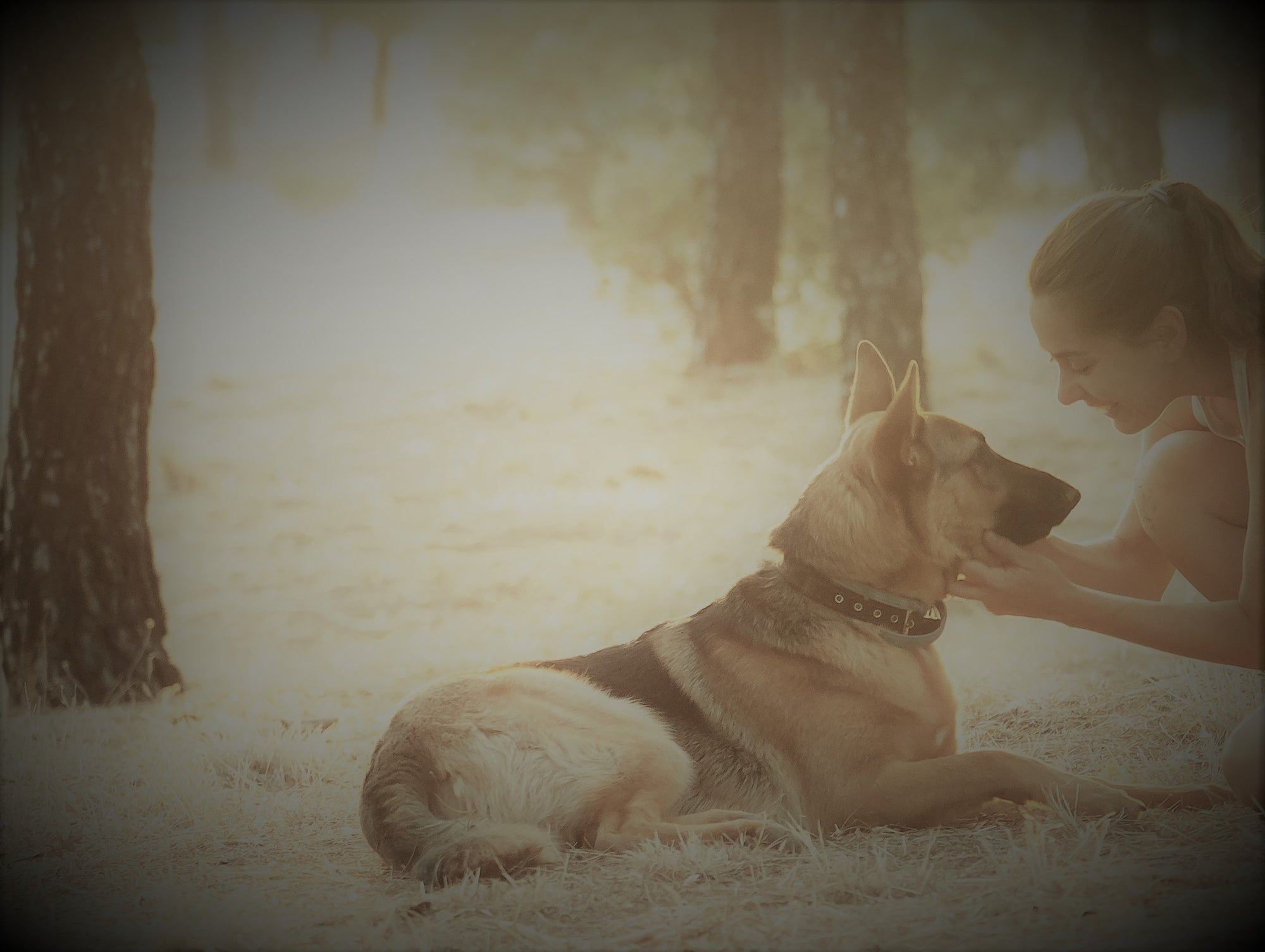 Eine Herzverbindung zum Tier - für ein gesundes Hundeleben