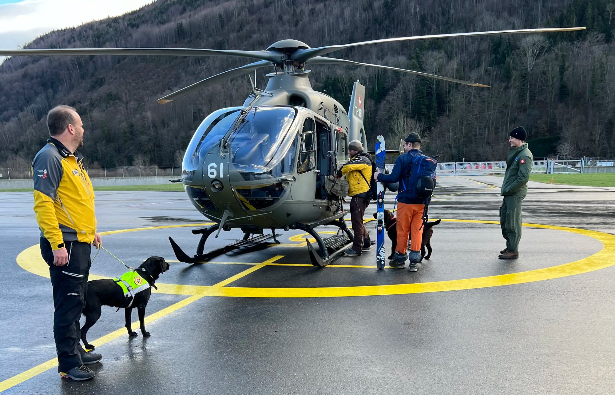 Rettunghunde in der Schweiz