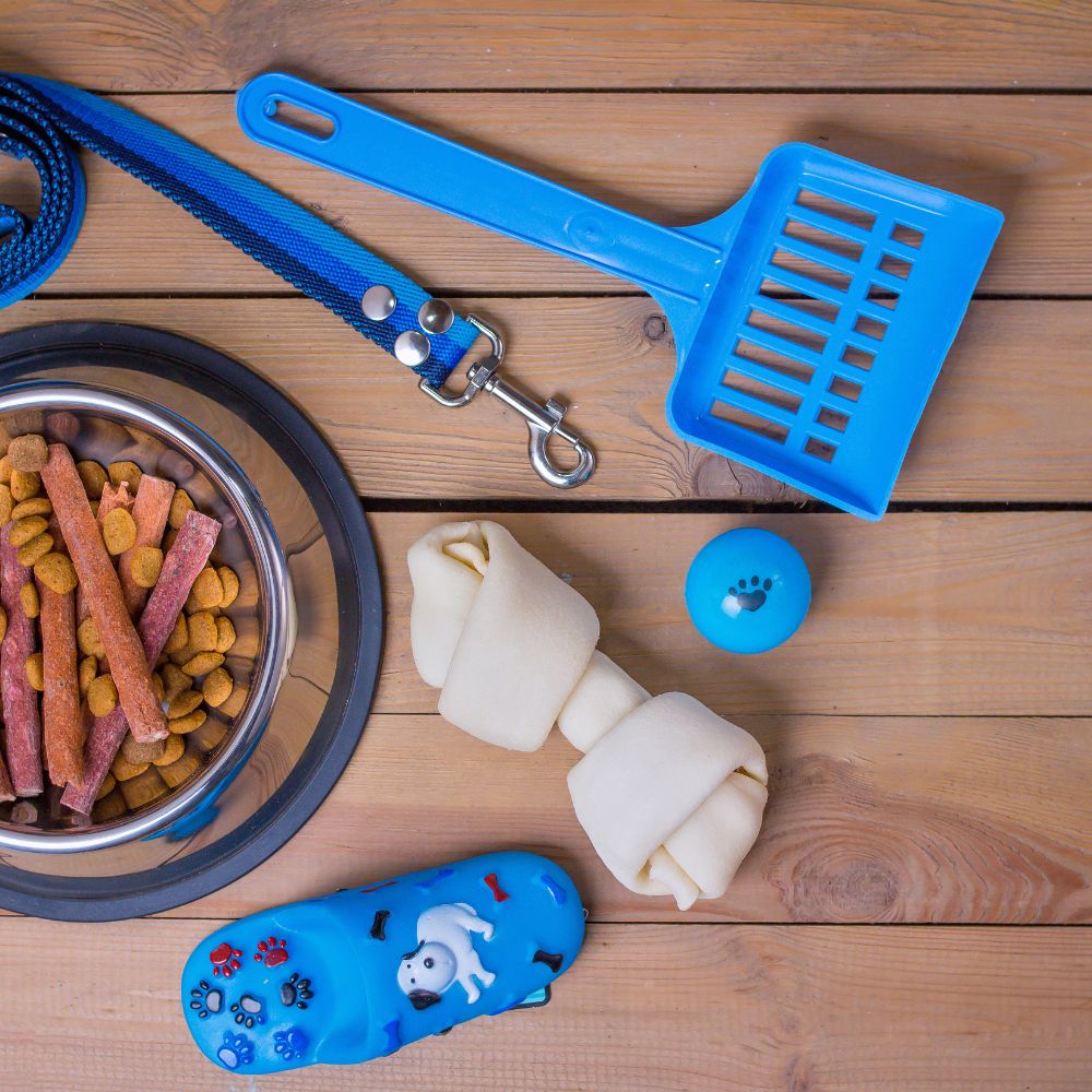 Erstausstattung Hund: Die ultimative Checkliste