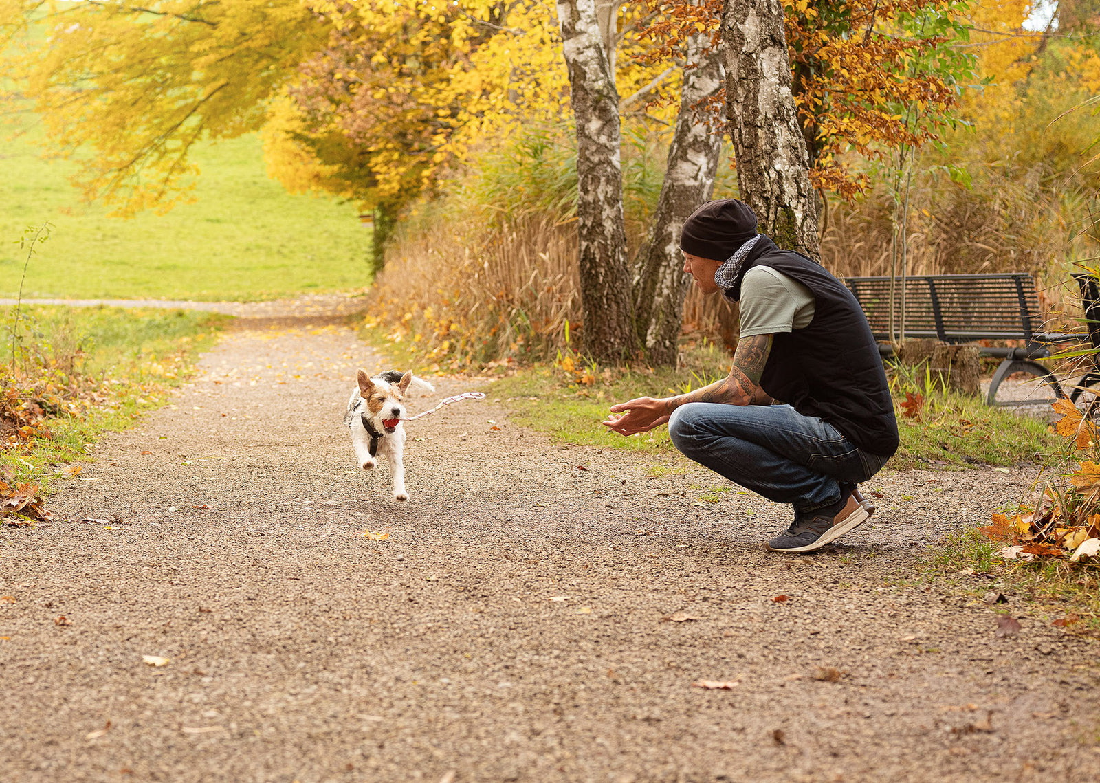 Abruf des Hundes - für ein gesundes Hundeleben