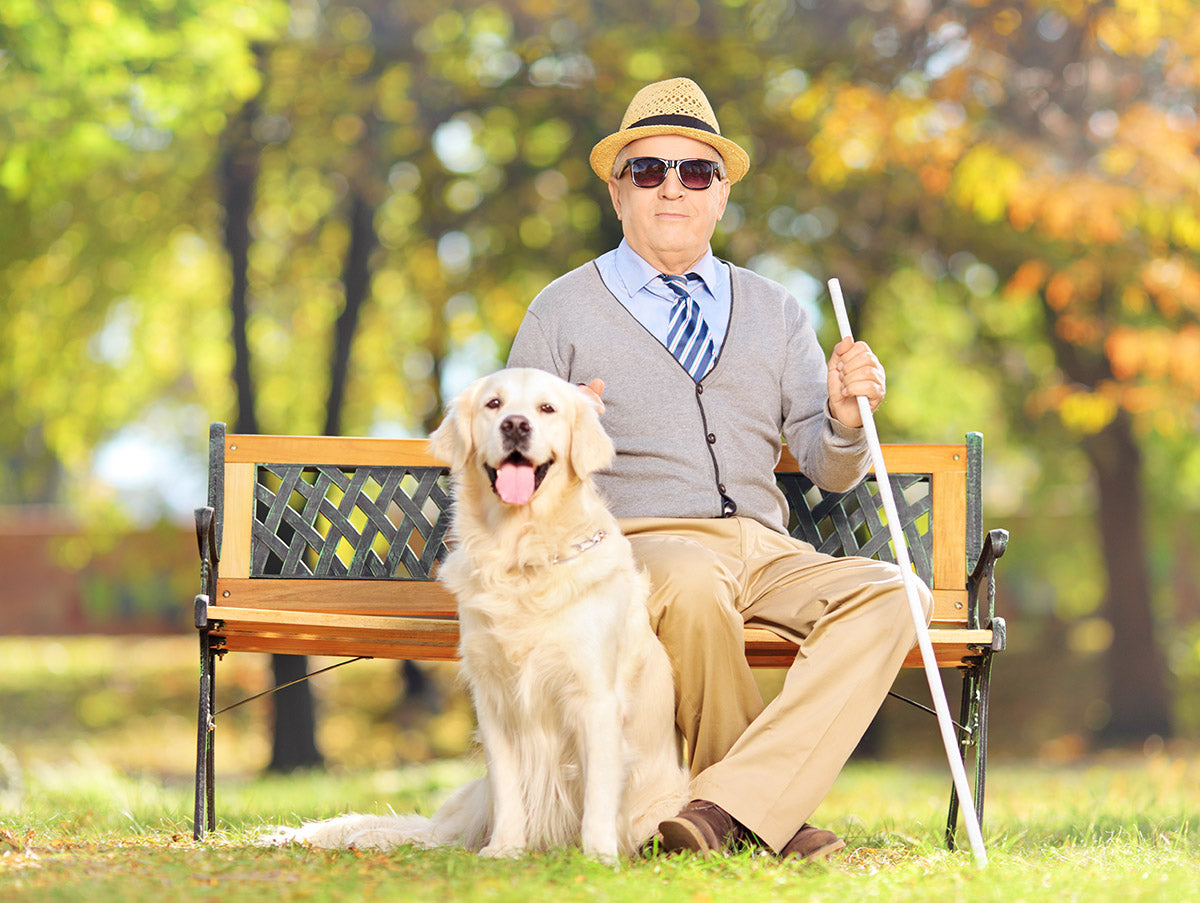 Sollte ich einen fremden Hund streicheln?