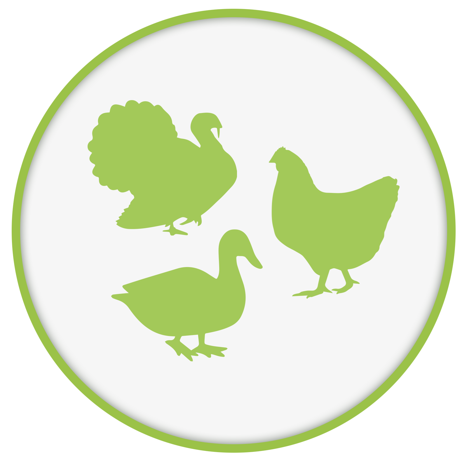 Huhn, Pute oder Ente – wo liegen die Unterschiede im Nassfutter oder Trockenfutter?