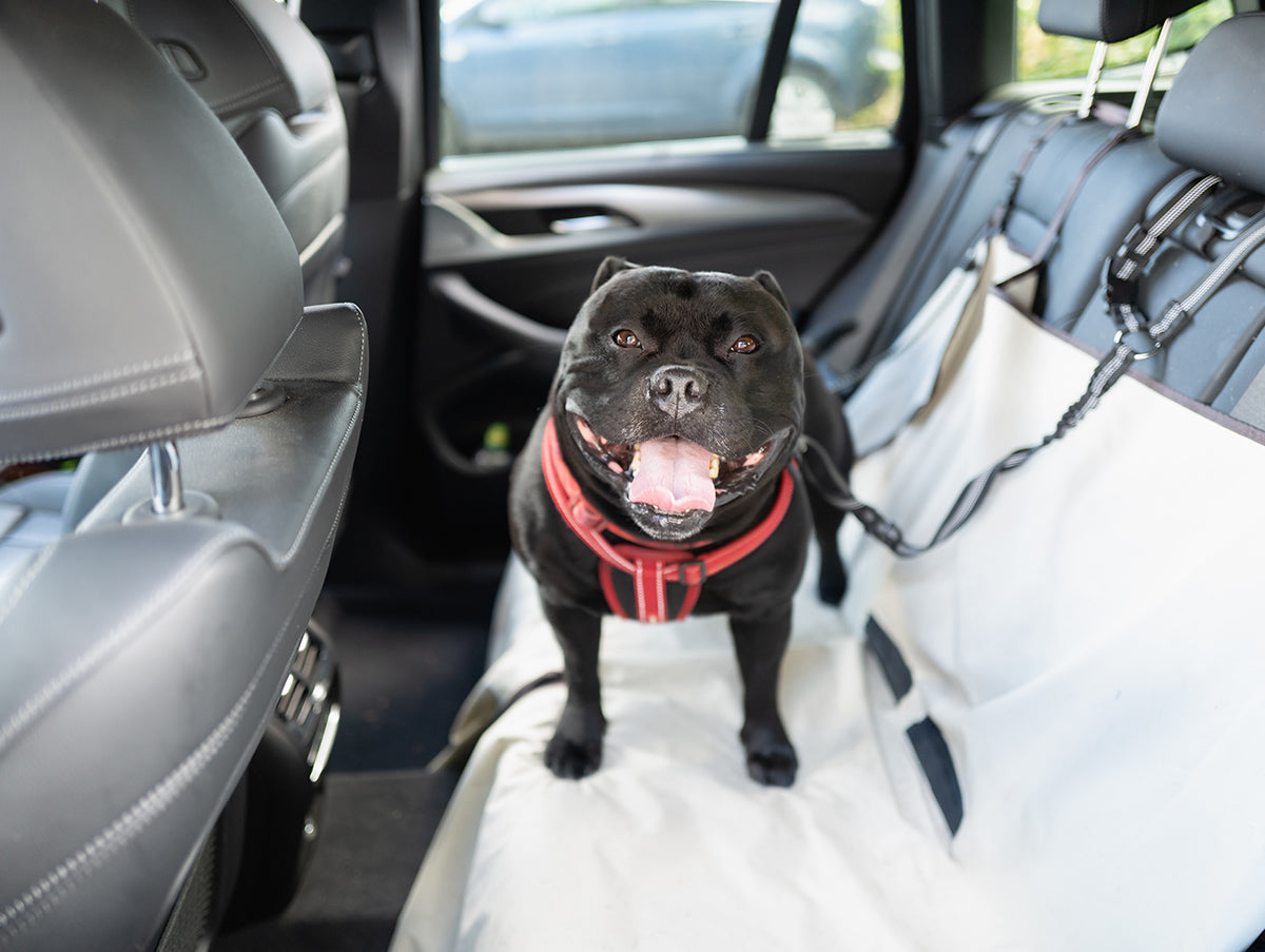 Urlaub mit oder ohne Hund