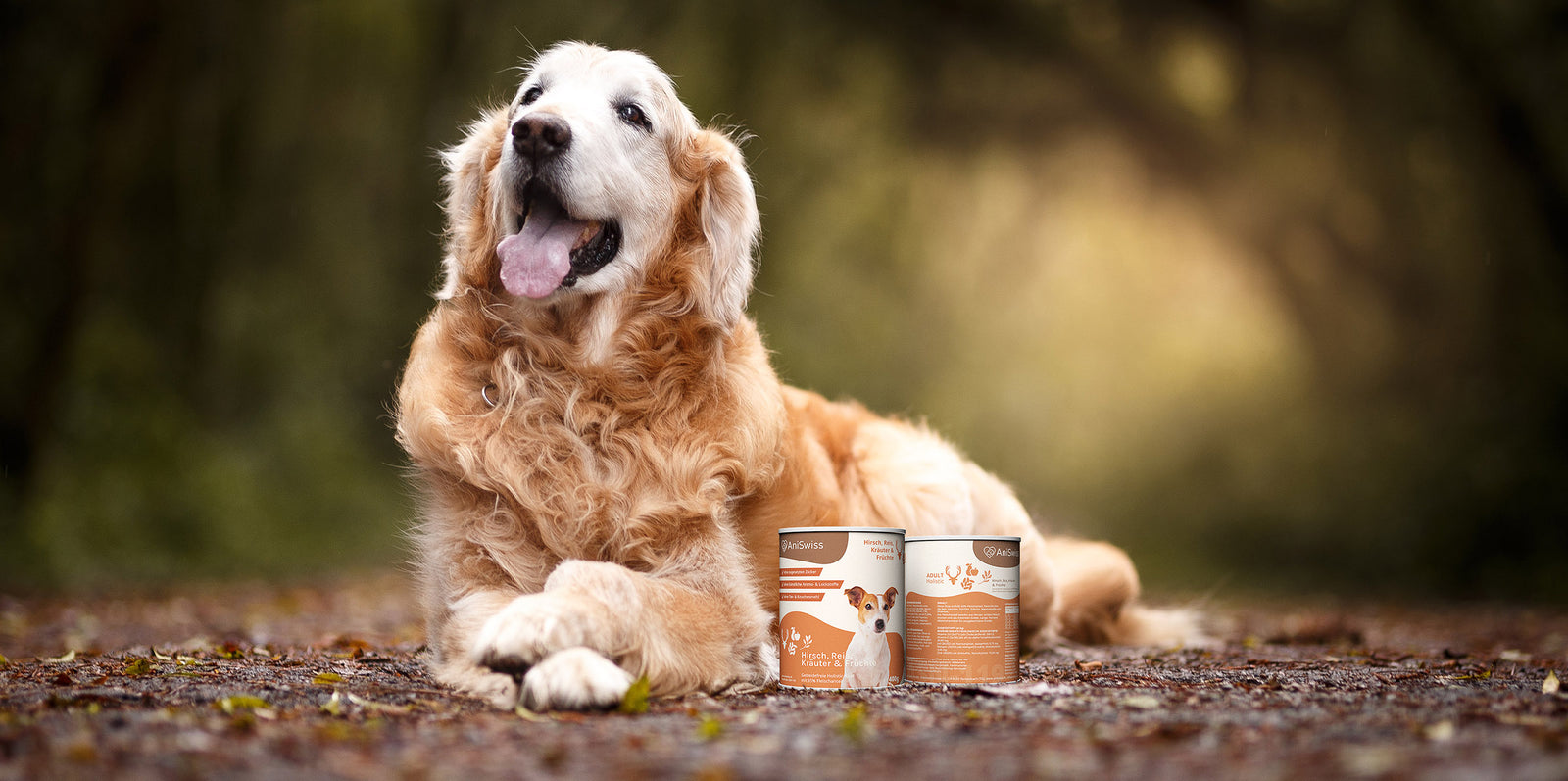 AniSwiss Bild für Abonnement Landingpage Banner