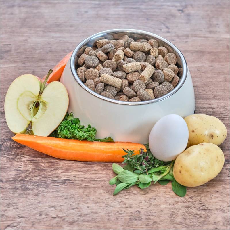 Junior Hundefutter AniSwiss Trockenfutter